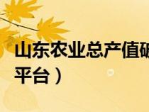 山东农业总产值破万亿元（山东农经统计年报平台）