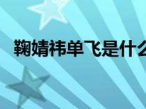鞠婧祎单飞是什么意思（单飞是什么意思）