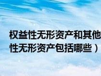 权益性无形资产和其他权益性无形资产包括哪些(其他权益性无形资产包括哪些) 权益性无形资产和其他权益性无形资产包括哪些(其他权益性无形资产包括哪些)