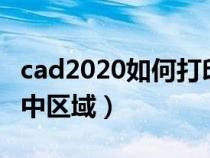 cad2020如何打印选定区域（cad怎么打印选中区域）