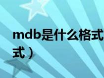 mdb是什么格式的文件（mdb是什么文件格式）