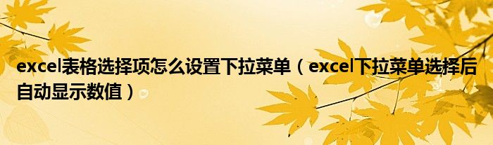 excel表格选择项怎么设置下拉菜单（excel下拉菜单选择后自动显示数值）