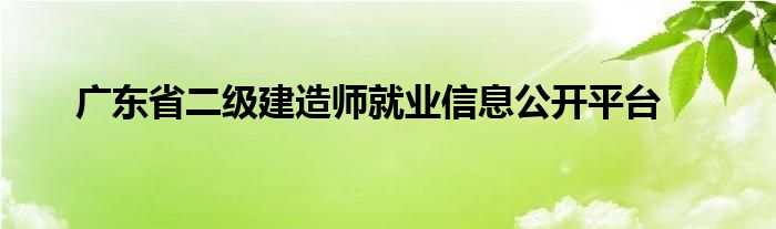 广东省二级建造师就业信息公开平台