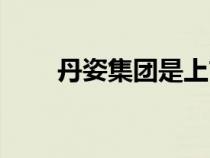 丹姿集团是上市公司吗（丹姿集团）