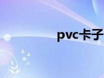 pvc卡子（pvc卡的规格）