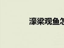 濠梁观鱼怎么读（濠梁观鱼）