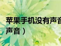 苹果手机没有声音重启就好了（苹果手机没有声音）