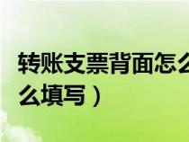 转账支票背面怎么填写图片（转账支票背面怎么填写）