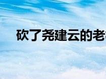 砍了尧建云的老板是谁（尧建云被谁废）