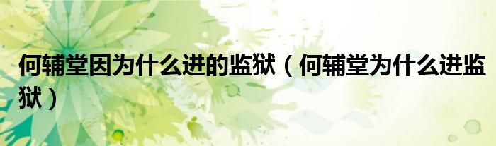 何辅堂因为什么进的监狱（何辅堂为什么进监狱）