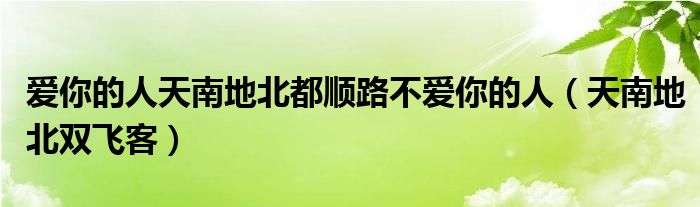 爱你的人天南地北都顺路不爱你的人（天南地北双飞客）