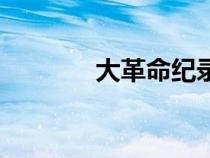 大革命纪录片全集（大革命）