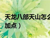 天龙八部天山怎么选装备（天龙八部天山怎么加点）