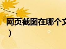 网页截图在哪个文件夹（网页截图保存在哪里）