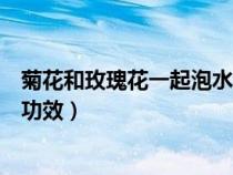菊花和玫瑰花一起泡水的功效(菊花和玫瑰花一起泡有什么功效) 菊花和玫瑰花一起泡水的功效(菊花和玫瑰花一起泡有什么功效)