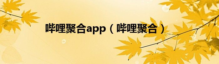 哔哩聚合app（哔哩聚合）
