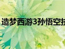 造梦西游3孙悟空技能（造梦3悟空技能搭配）