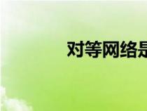 对等网络是什么（对等网络）