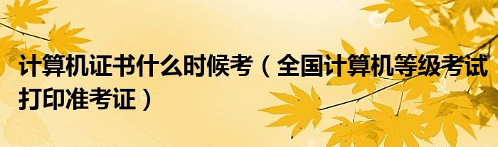 计算机证书什么时候考（全国计算机等级考试打印准考证）