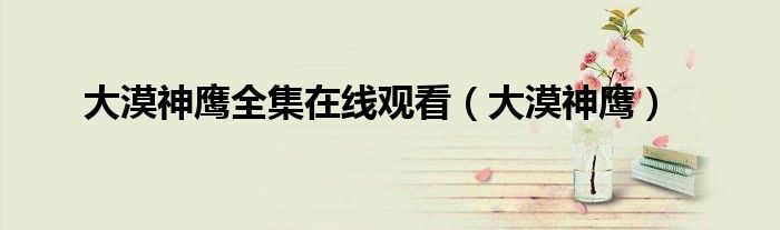 大漠神鹰全集在线观看（大漠神鹰）
