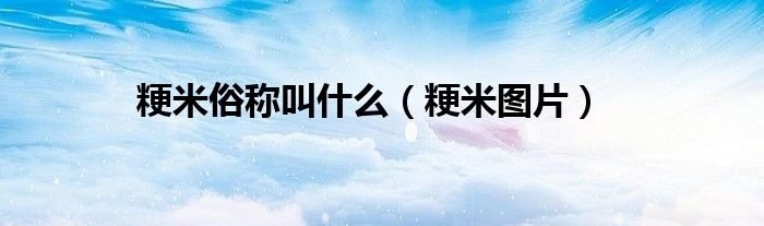 粳米俗称叫什么（粳米图片）