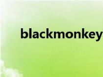 blackmonkey猜拳(blackmonkey) blackmonkey猜拳(blackmonkey)