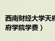 西南财经大学天府学院学费（西南财经大学天府学院学费）