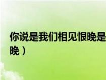你说是我们相见恨晚是你不够勇敢歌词(你说是我们相见恨晚) 你说是我们相见恨晚是你不够勇敢歌词(你说是我们相见恨晚)