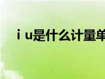 ⅰu是什么计量单位（樘是什么计量单位）