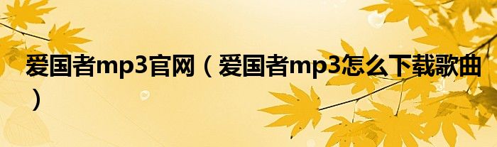 爱国者mp3官网（爱国者mp3怎么下载歌曲）