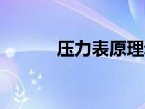 压力表原理动画（压力表原理）