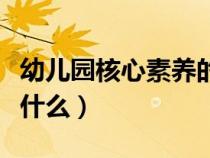 幼儿园核心素养的重要性（幼儿园核心素养是什么）