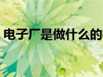 电子厂是做什么的视频（电子厂是做什么的）