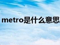 metro是什么意思英语（metro是什么意思）