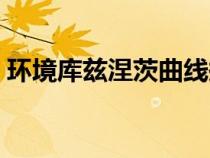 环境库兹涅茨曲线拐点（环境库兹涅茨曲线）