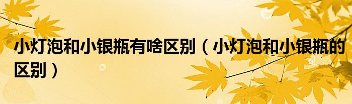 小灯泡和小银瓶有啥区别（小灯泡和小银瓶的区别）