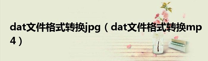 dat文件格式转换jpg（dat文件格式转换mp4）