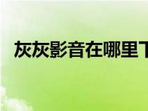 灰灰影音在哪里下载（灰灰影音在线观看）