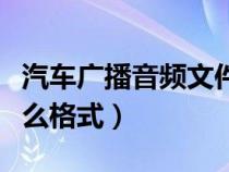 汽车广播音频文件是什么格式（音频文件是什么格式）