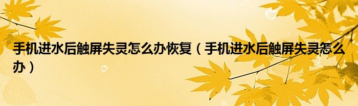 手机进水后触屏失灵怎么办恢复（手机进水后触屏失灵怎么办）