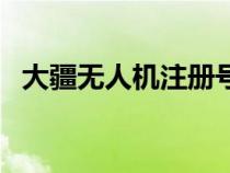 大疆无人机注册号（大疆无人机注册网址）