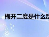 梅开二度是什么动作（梅开二度是什么梗）