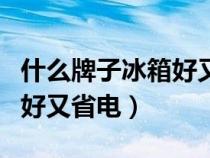 什么牌子冰箱好又省电又实惠（什么牌子冰箱好又省电）