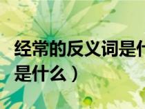 经常的反义词是什么标准答案（经常的反义词是什么）