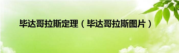 毕达哥拉斯定理（毕达哥拉斯图片）