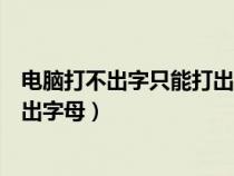 电脑打不出字只能打出字母怎么办(打不出字怎么办只能打出字母) 电脑打不出字只能打出字母怎么办(打不出字怎么办只能打出字母)