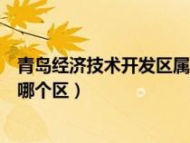 青岛经济技术开发区属于黄岛吗（青岛经济技术开发区属于哪个区）