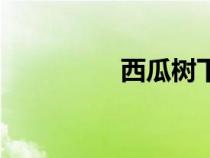 西瓜树下的狗（西瓜树）