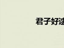君子好逑（君子济 译文）