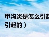 甲沟炎是怎么引起的如何治疗（甲沟炎是怎么引起的）